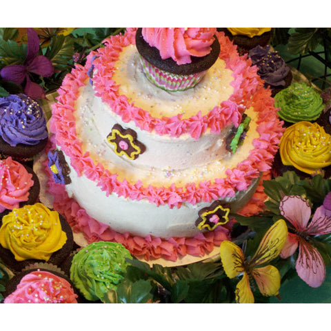 Garden Fiesta Cake